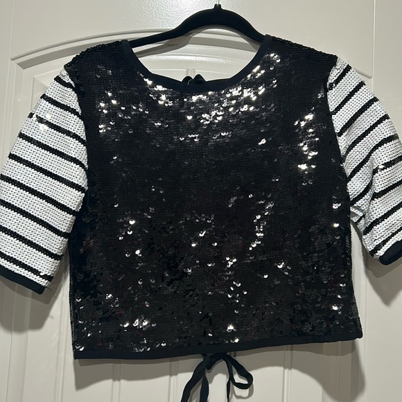 NWT Zara sequin crop top - Picture 1 of 7